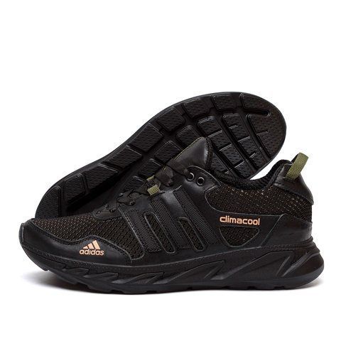Чоловічі кросівки літні сітка Adidas Climacool А30 ол сет фото